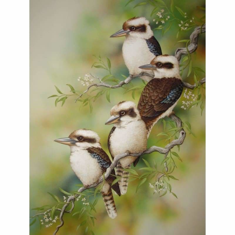 Kookas
