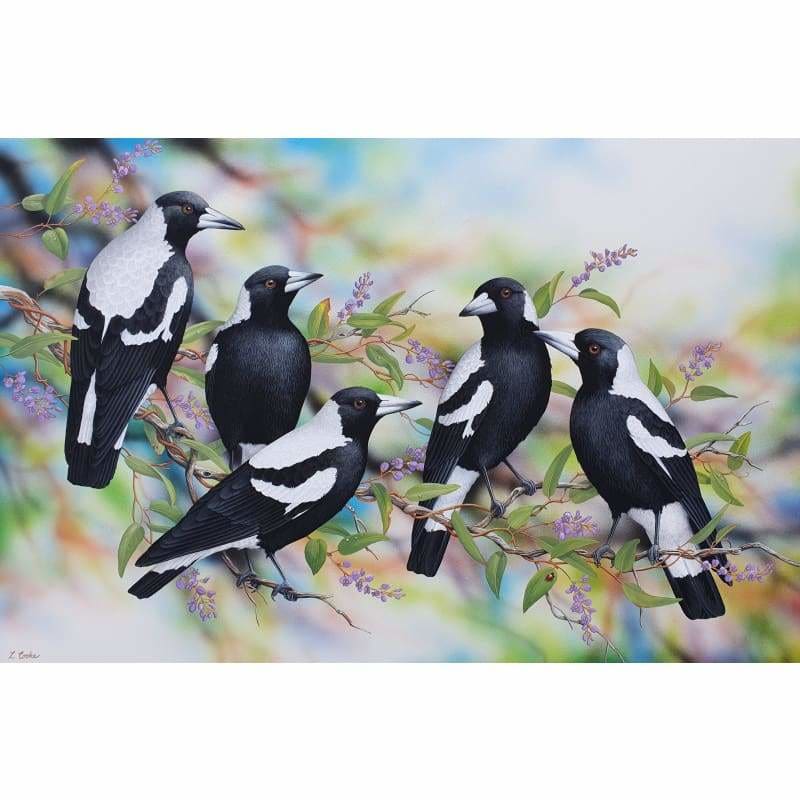 Magpies
