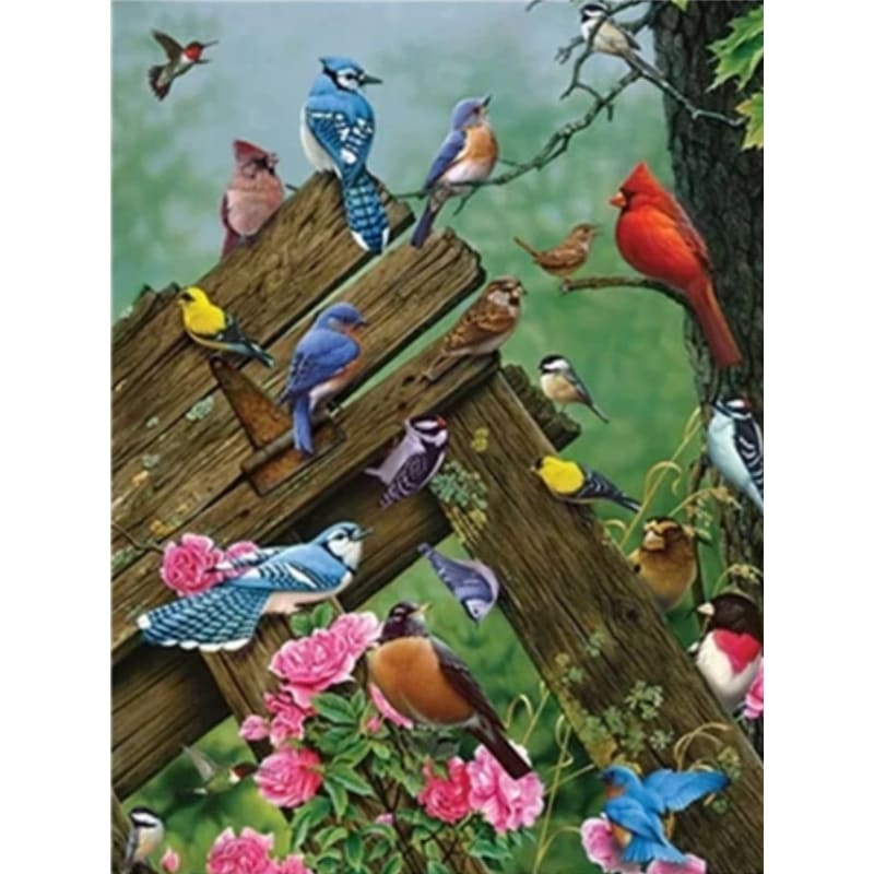 Bird Diy Paint By Numbers Kits PBN95659 - NEEDLEWORK KITS