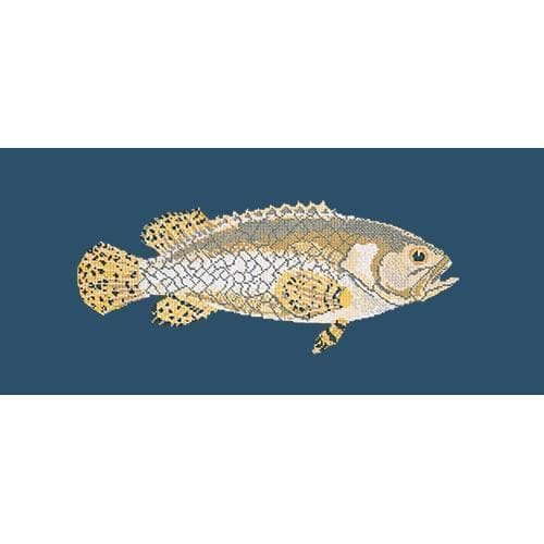 Brindled Grouper - NEEDLEWORK KITS