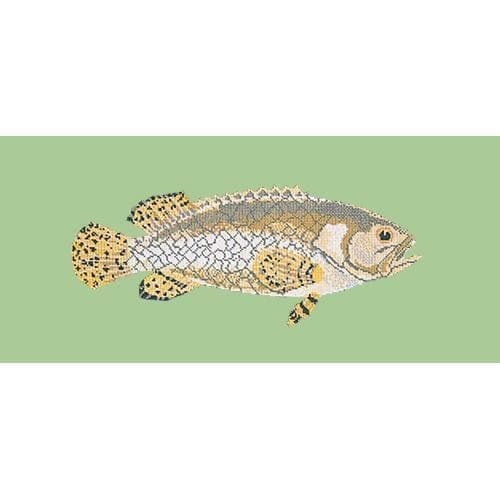 Brindled Grouper - NEEDLEWORK KITS