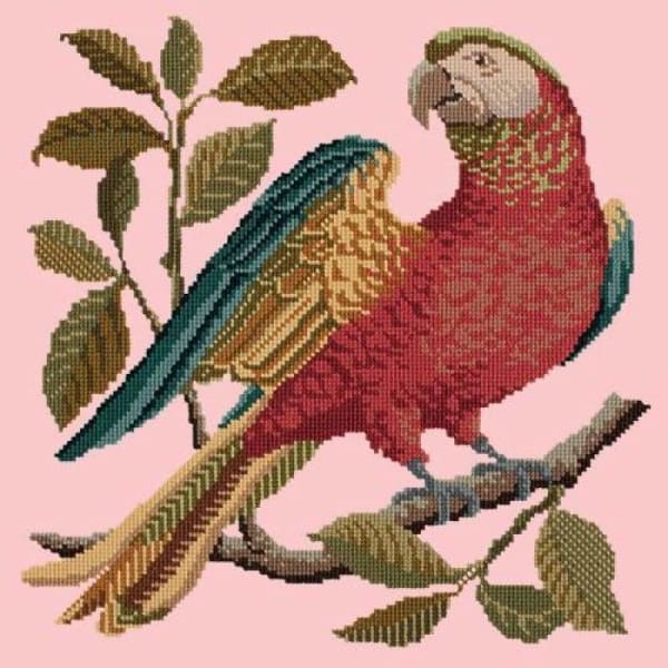 Pete the Parrot - NEEDLEWORK KITS