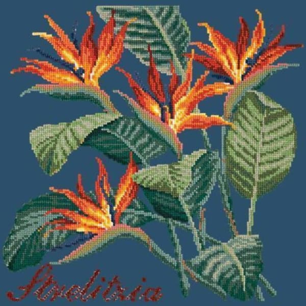 Strelitzia (Bird of Paradise) - NEEDLEWORK KITS