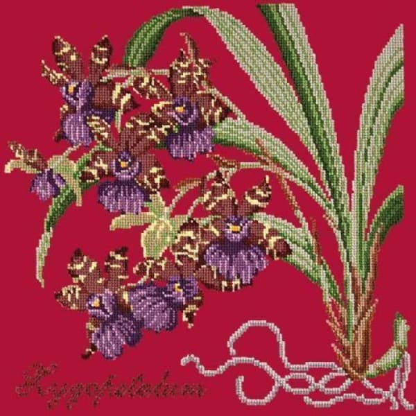 Zygopetalum (Ladybird Orchid) - NEEDLEWORK KITS