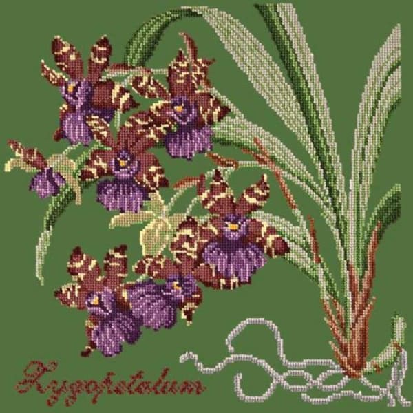 Zygopetalum (Ladybird Orchid) - NEEDLEWORK KITS