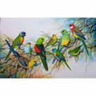 Australian Parrots Kit