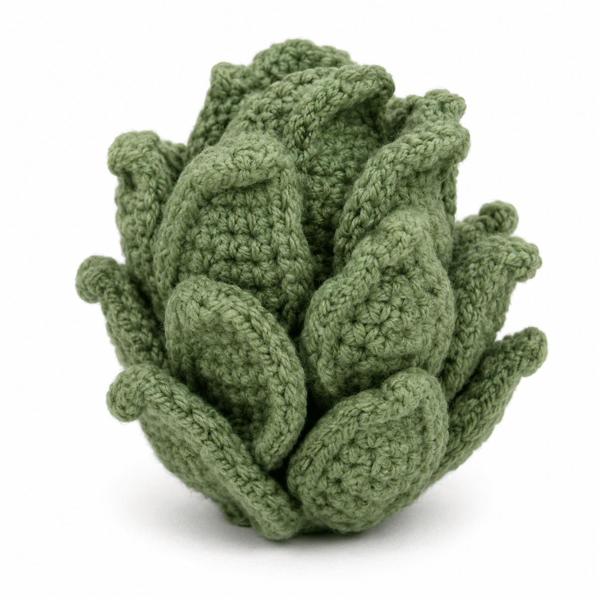 Cozy Cabbage Crochet Kit – The Fox Collection
