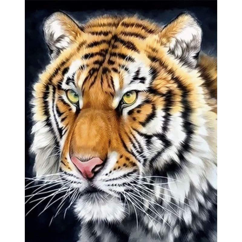 Soloth Kit Number Animal Tiger Diy Paint By Numbers Kits ZXQ3429 – The Fox Collection