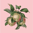 Apples - NEEDLEWORK KITS
