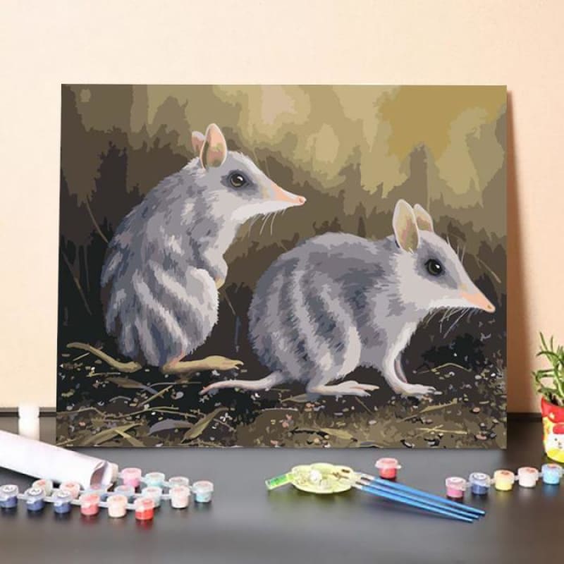 Bandicoots