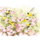 Bird In Flower Diy Paint By Numbers Kits PBN90133 - NEEDLEWORK KITS
