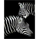 Black And White Diy Paint By Numbers Kits PBN95960 - NEEDLEWORK KITS