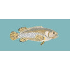 Brindled Grouper - NEEDLEWORK KITS
