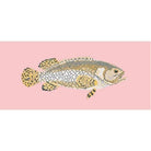 Brindled Grouper - NEEDLEWORK KITS