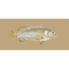 Brindled Grouper - NEEDLEWORK KITS