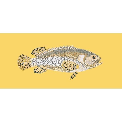 Brindled Grouper - NEEDLEWORK KITS