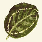 Calathea Leaf - NEEDLEWORK KITS
