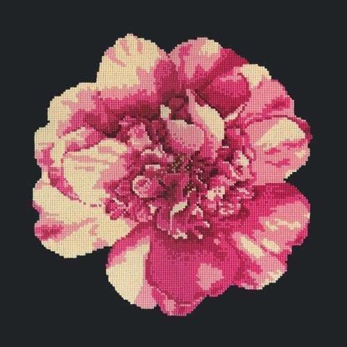 Camellia Blossom - NEEDLEWORK KITS