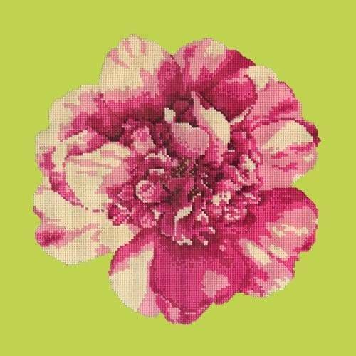 Camellia Blossom - NEEDLEWORK KITS