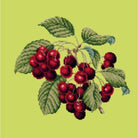 Cherries - NEEDLEWORK KITS
