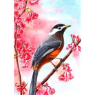Colorful Bird Diy Paint By Numbers Kits PBN97916 - NEEDLEWORK KITS