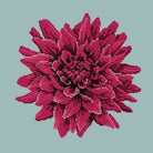 Dahlia - NEEDLEWORK KITS