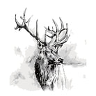 Deer Diy Paint By Numbers Kits YM-4050-238 - NEEDLEWORK KITS