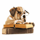 Dog Diy Paint By Numbers Kits WM-1306 - NEEDLEWORK KITS