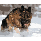 Dog Diy Paint By Numbers Kits WM-1440 - NEEDLEWORK KITS