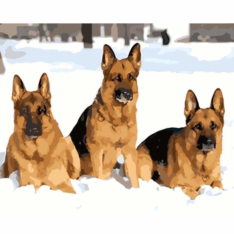 Dog Diy Paint By Numbers Kits WM-905 - NEEDLEWORK KITS