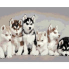 Dog Diy Paint By Numbers Kits ZXQ811 - NEEDLEWORK KITS