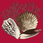 Fan Coral - NEEDLEWORK KITS