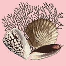 Fan Coral - NEEDLEWORK KITS