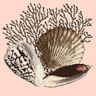 Fan Coral - NEEDLEWORK KITS