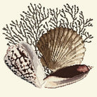 Fan Coral - NEEDLEWORK KITS