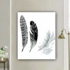 Feather Diy Paint By Numbers Kits PBN30150 - NEEDLEWORK KITS