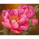 Flower Diy Paint By Numbers Kits ZXQ3188 - NEEDLEWORK KITS