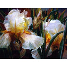 Flower Paint By Numbers Kits PBN95263 - NEEDLEWORK KITS