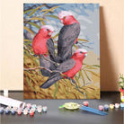 Galahs
