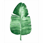 Leaf Diy Paint By Numbers Kits VM94178 - NEEDLEWORK KITS