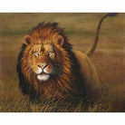 Lion Diy Paint By Numbers Kits PBN90882 - NEEDLEWORK KITS