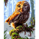 Owl Diy Paint By Numbers Kits ZXQ1434 - NEEDLEWORK KITS