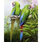 Parrot Diy Paint By Numbers Kits ZXQ2677 - NEEDLEWORK KITS
