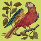 Pete the Parrot - NEEDLEWORK KITS