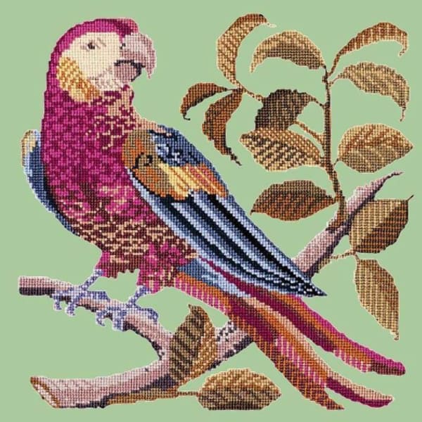 Pete the Parrot - NEEDLEWORK KITS