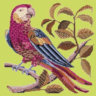Pete the Parrot - NEEDLEWORK KITS