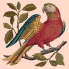 Pete the Parrot - NEEDLEWORK KITS