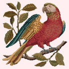 Pete the Parrot - NEEDLEWORK KITS