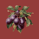 Plums - NEEDLEWORK KITS