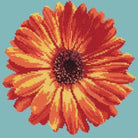 Pot Marigold - NEEDLEWORK KITS